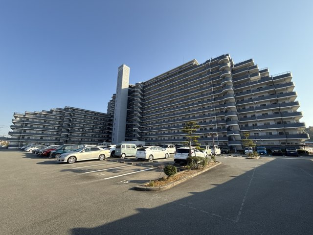 サンパティック的形の外観