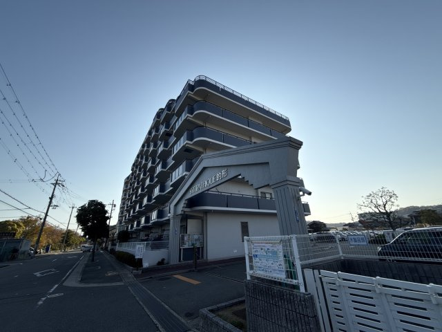 サンパティック的形