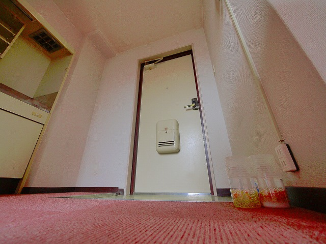 ハイネス桜井の玄関|明るい玄関です