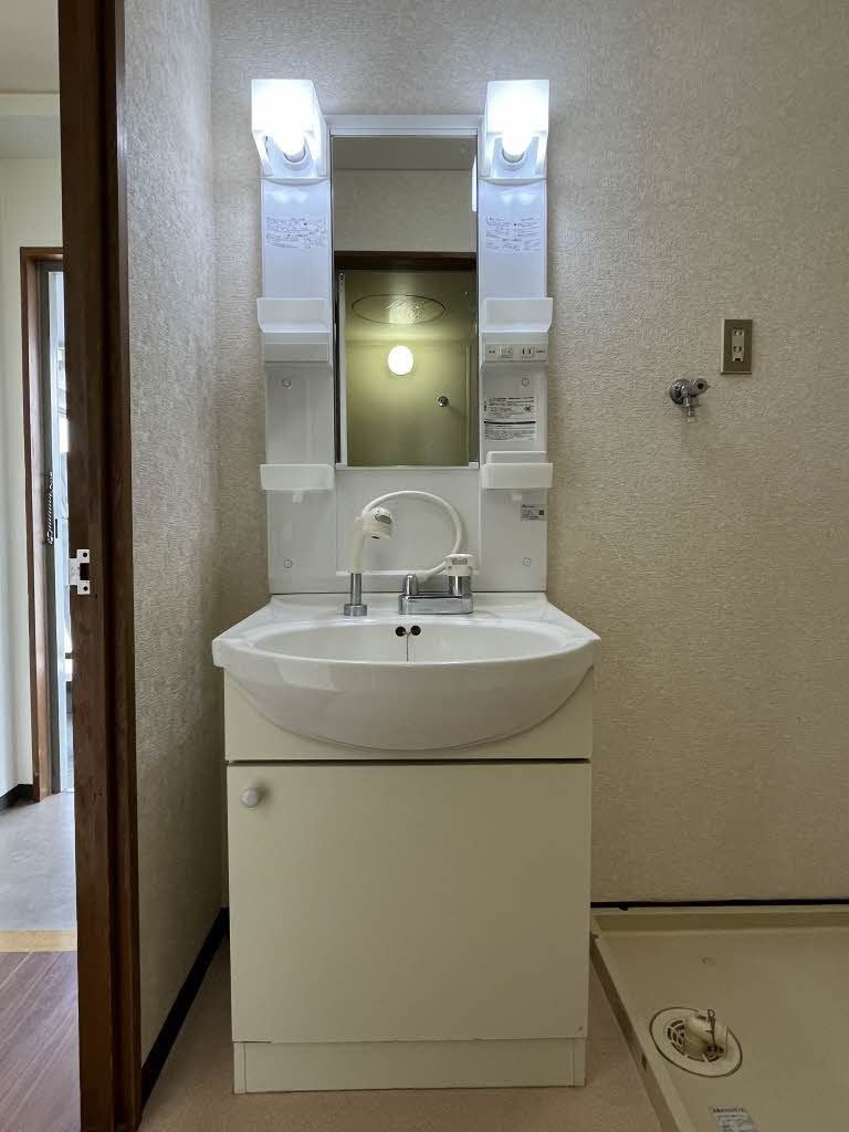 アネックス泉ヶ丘の洗面所