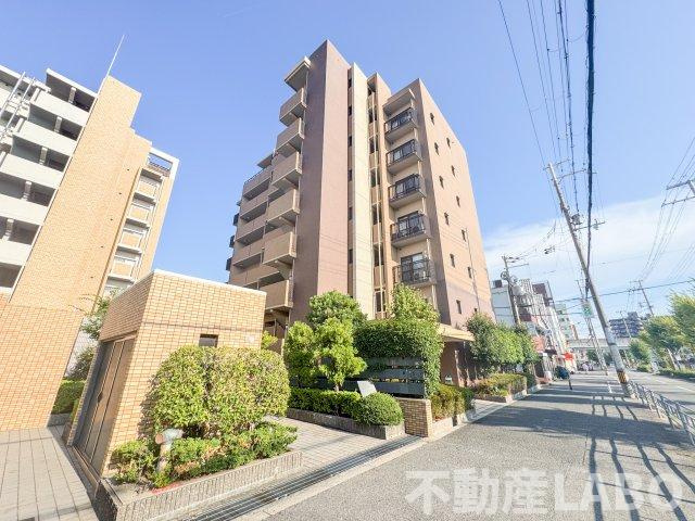 マルーン平野の外観