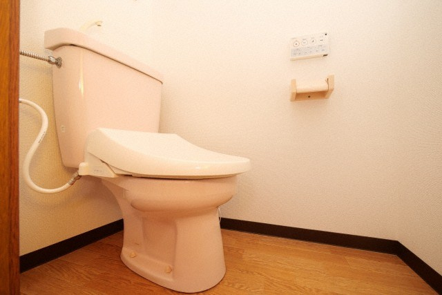 メゾンドモリタⅡのトイレ