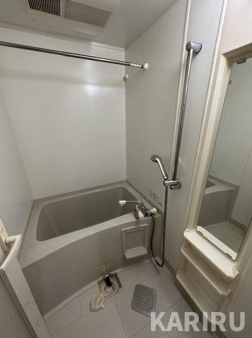 セイワパレス大阪城北の浴室