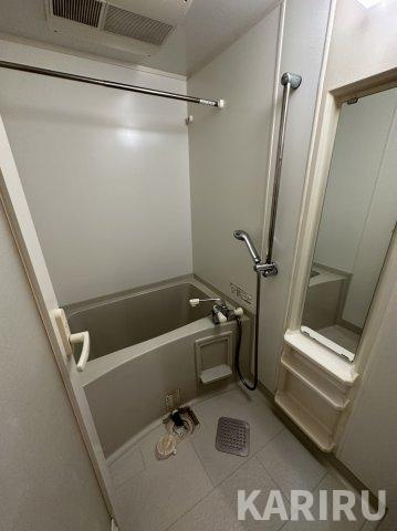 セイワパレス大阪城北の浴室