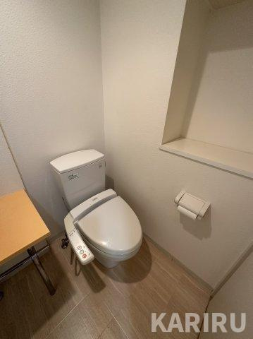 セイワパレス大阪城北のトイレ