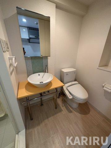 セイワパレス大阪城北のトイレ