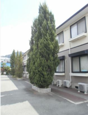 【外観】 | ピア石田