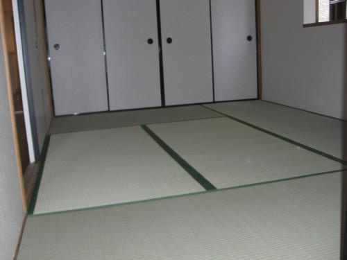 ヒルトンブルーのその他