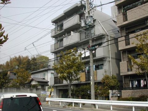 ヒルトンブルーの外観