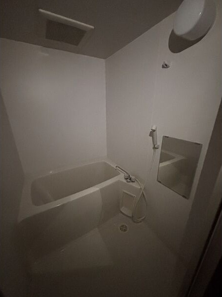 ラ・ヴィアンパレスⅡの浴室