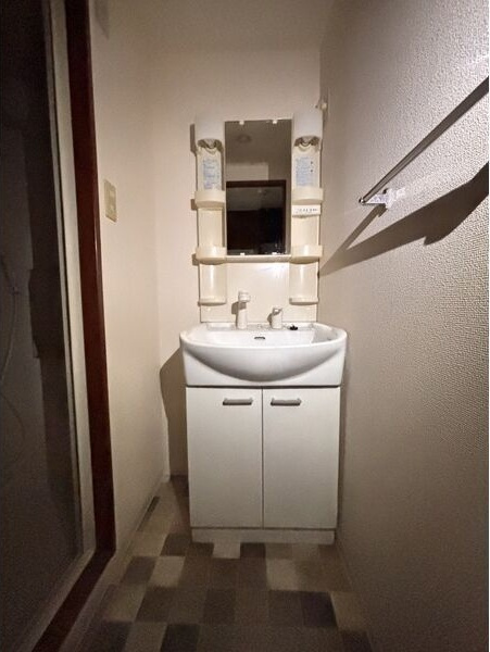 ラ・ヴィアンパレスⅡの洗面所