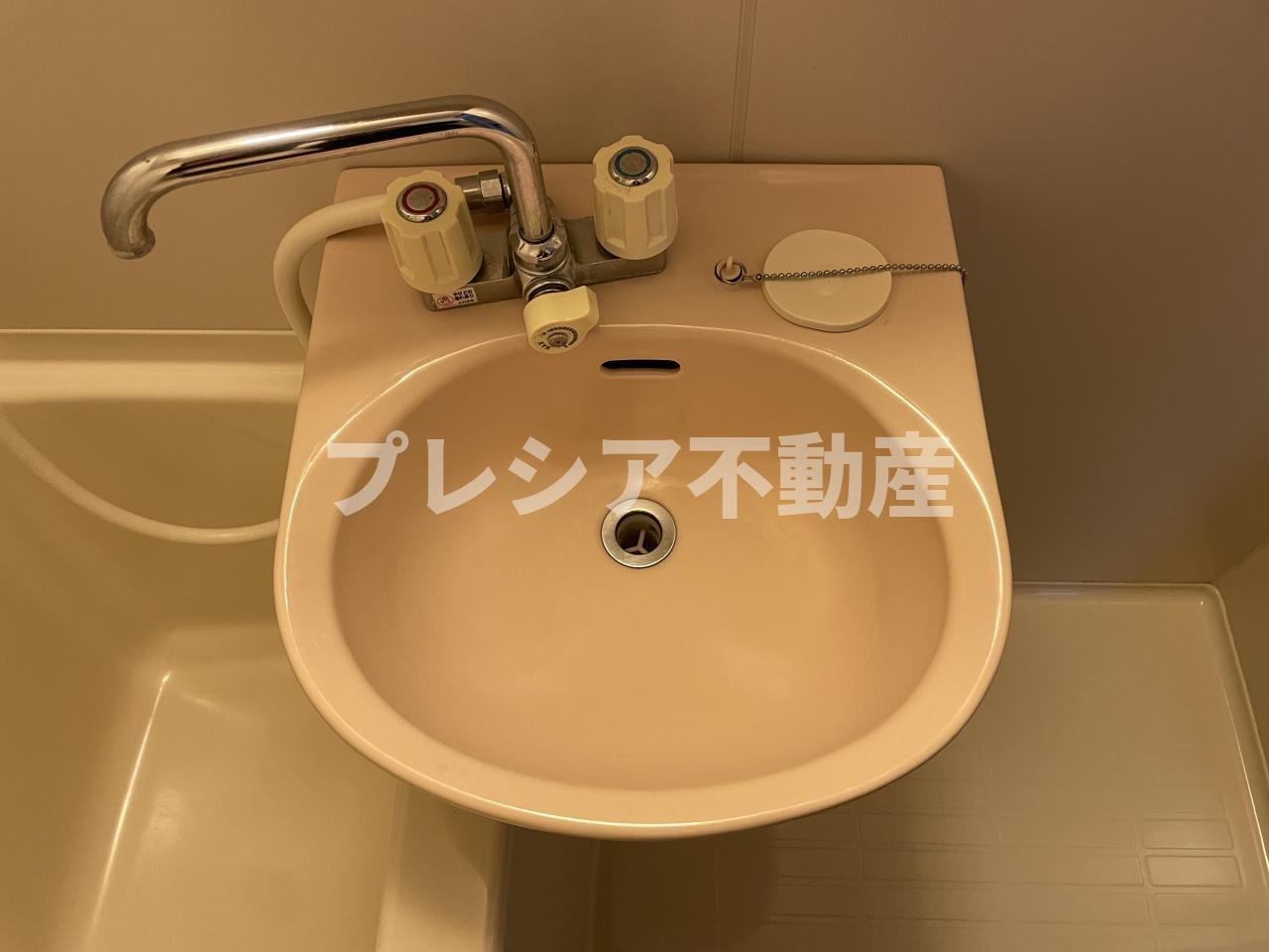 エスタシオン甲子園口の洗面所