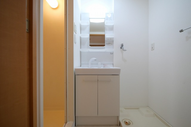 エイペックス内本町の洗面所