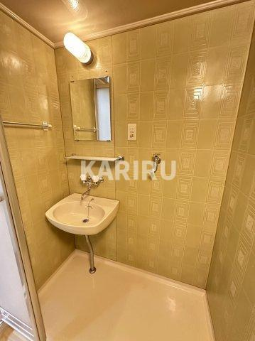 ラパンジール京橋の洗面所