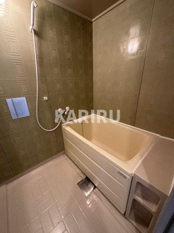 ラパンジール京橋の浴室