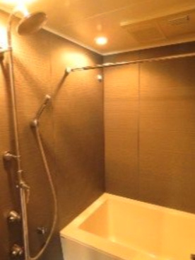 プラティーク清澄白河の浴室