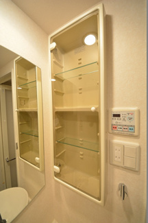 【収納】 | ISM谷町六丁目 | ISM谷町六丁目　洗面所収納