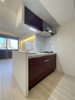 【キッチン】 | プレジオ難波EURO | プレジオ難波EURO（プレジオ難波ユーロ）カウンターキッチン