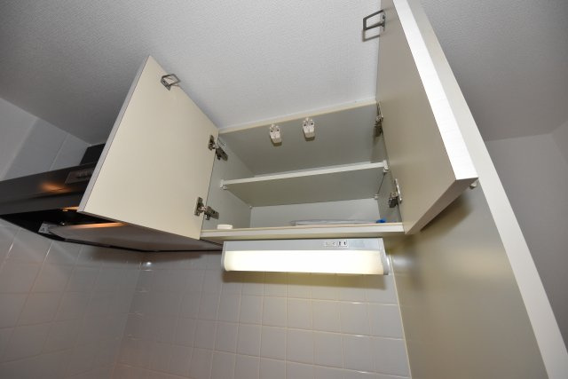 プレサンス難波ヴィータ