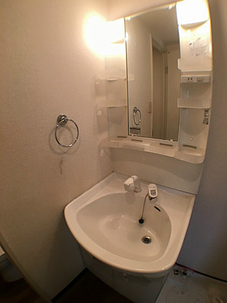 レグルスコートの洗面所