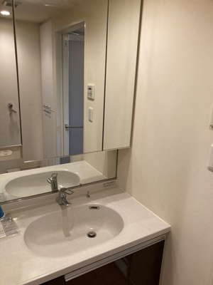 【洗面所】 | アーバネックス神保町 | ※写真は同タイプ住戸です。
