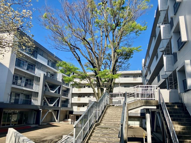 宮前平グリーンハイツ１６号棟