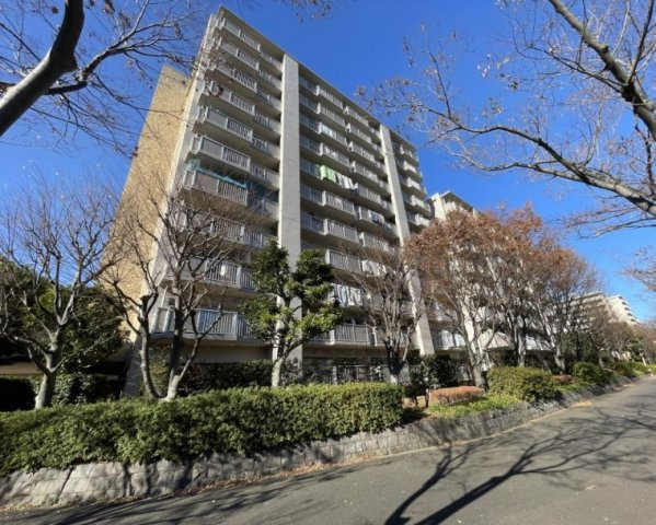 清新南ハイツ１２号棟の外観