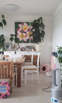 【居間・リビング】 | 深大寺レジデンスガーデンレジデンス