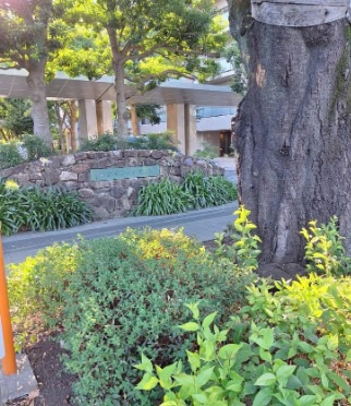 【その他】 | 深大寺レジデンスガーデンレジデンス