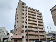 グレイス竹下の画像