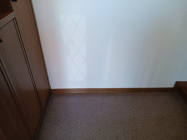 グリーンパレスⅡの玄関