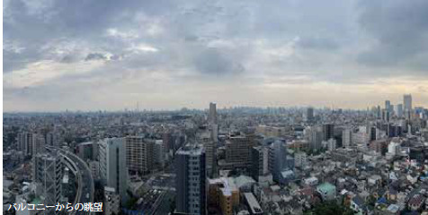 パークタワー滝野川の展望