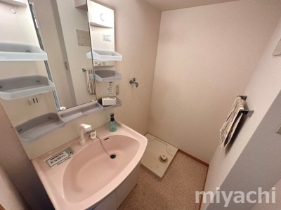 【洗面所】 | アクシス南島田D