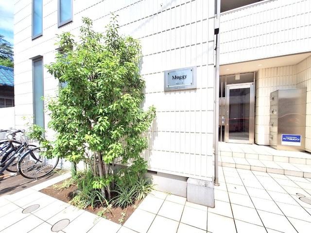 Ｍｏｇｇｙ　モギィのエントランス|★エントランス★