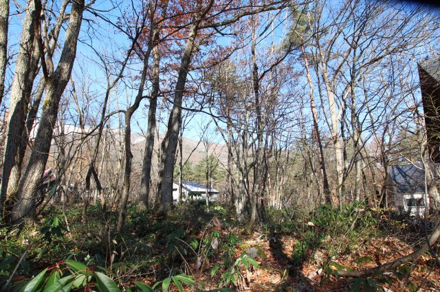 みそら野　売土地の周辺