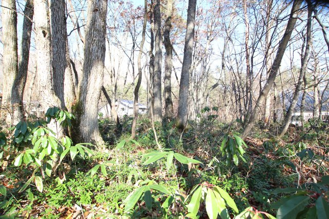 みそら野　売土地の周辺