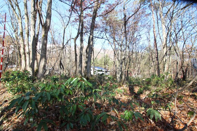 みそら野　売土地の周辺