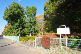 【周辺】 | 【仲介手数料無料！！】川崎市麻生区片平1丁目　新築戸建て（全2棟）A号棟　6990万円 | 葉積緑地