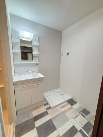 サンライフカトー(リノシス)の洗面所