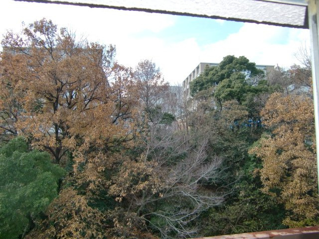 アーバン六甲の展望