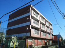 サンドリームの画像