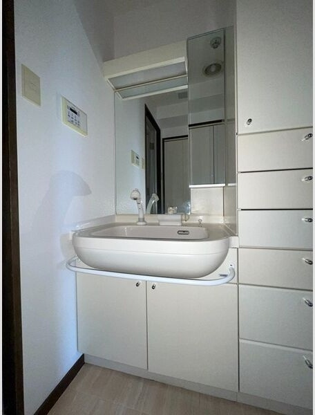 セイワパレス四天王寺の洗面所