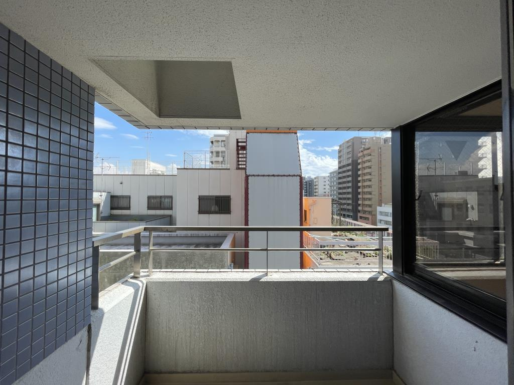 セイワパレス四天王寺の展望