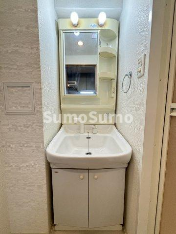 エイペックス松屋町ヴァンデュールの洗面所|広い洗面スペース