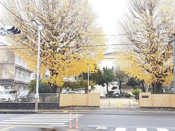 レフィナード高城　Ａの周辺|都城市立高城小学校まで300m