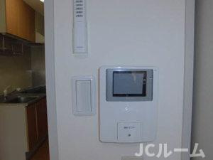 アークフラッティのセキュリティ