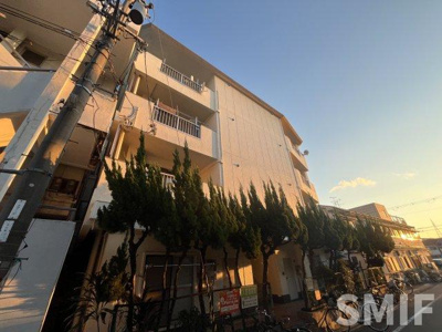 【外観】 | 太陽マンション