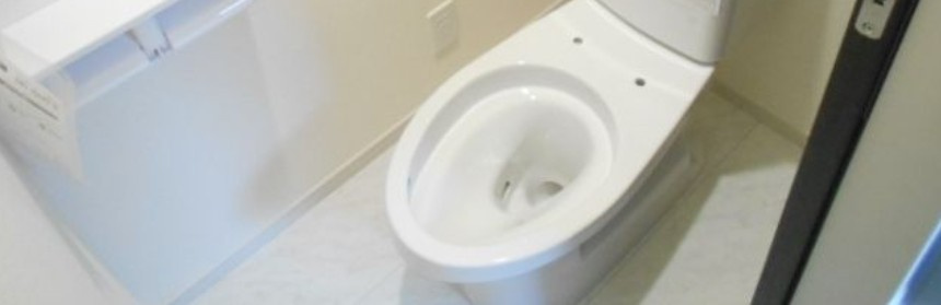 リーブルファイン八丁目1号棟のトイレ