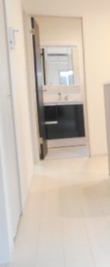 リーブルファイン八丁目1号棟の独立洗面台