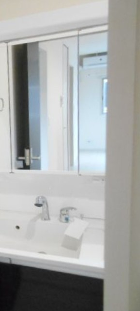 リーブルファイン八丁目1号棟の洗面所